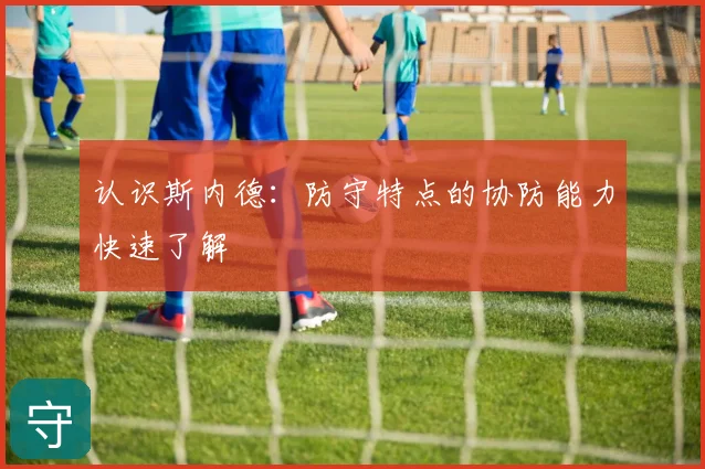 认识斯内德:防守特点的协防能力快速了解