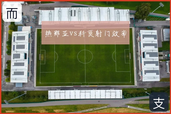 热那亚vs科莫射门效率